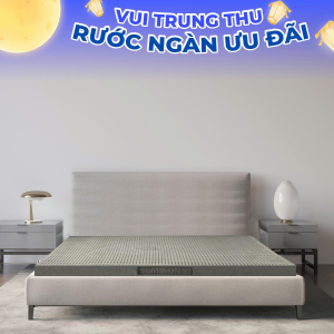 Nệm Cao Su Thiên Nhiên – Than Hoạt Tính – Dày 5cm