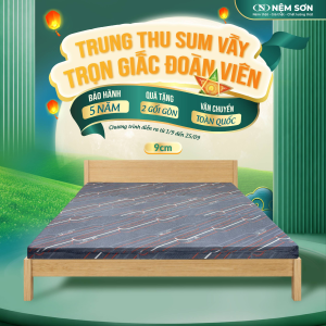 Nệm bông ép cao cấp 9cm – nằm êm, mát lưng, không đau cột sống! Gấp gọn tiện lợi – giá tốt