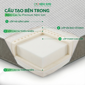 Nệm Cao Su Premium Nệm Sơn 10 cm - Lõi Foam Kết Hợp Cao Su Nguyên Khối Cao Cấp