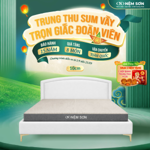 Nệm Cao Su Premium Nệm Sơn 10 cm - Lõi Foam Kết Hợp Cao Su Nguyên Khối Cao Cấp