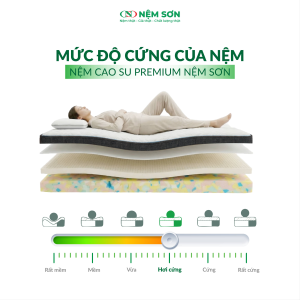 Nệm Cao Su Premium Nệm Sơn 15 cm - Lõi Foam Kết Hợp Cao Su Nguyên Khối Cao Cấp