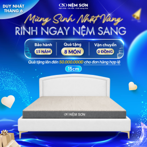 Nệm Cao Su Premium Nệm Sơn 15 cm - Lõi Foam Kết Hợp Cao Su Nguyên Khối Cao Cấp