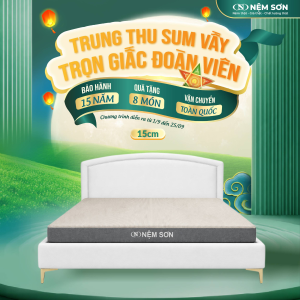 Nệm Cao Su Premium Nệm Sơn 15 cm - Lõi Foam Kết Hợp Cao Su Nguyên Khối Cao Cấp