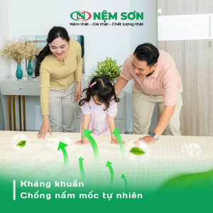 Nệm cao su thiên nhiên nguyên khối white - Dày 10cm - Đầy đủ kích thước