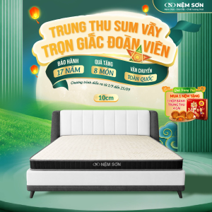 Nệm Cao Su Thiên Nhiên nguyên khối 10cm - Nệm Sơn - Bản Cải Tiến Vải Gấm Cao Cấp