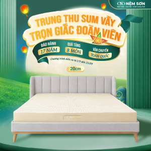 Nệm cao su thiên nhiên nguyên khối - Dày 20cm - Đầy đủ kích thước