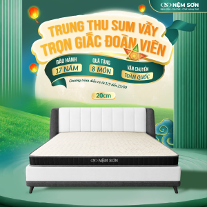 Nệm Cao Su Thiên Nhiên nguyên khối white 20cm - Nệm Sơn - Bản Cải Tiến Vải Gấm Cao Cấp