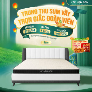 Nệm Cao Su Thiên Nhiên nguyên khối 5cm - Nệm Sơn - Bản Cải Tiến Vải Gấm Cao Cấp