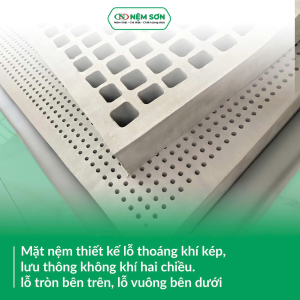 Nệm Cao Su Thiên Nhiên – Than Hoạt Tính - Dày 10cm