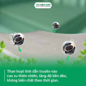 Nệm Cao Su Thiên Nhiên – Than Hoạt Tính - Dày 10cm