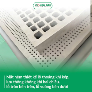 Nệm Cao Su Thiên Nhiên – Than Hoạt Tính – Dày 15cm