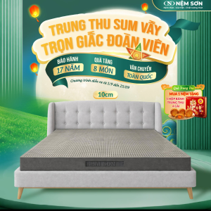 Nệm Cao Su Thiên Nhiên – Than Hoạt Tính – Dày 15cm