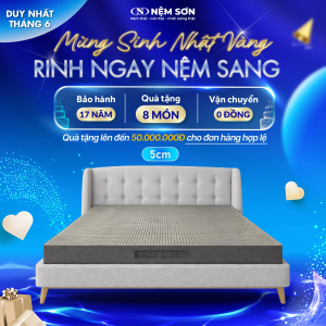 Nệm Cao Su Thiên Nhiên – Than Hoạt Tính – Dày 5cm