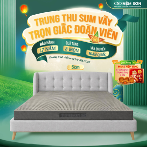 Nệm Cao Su Thiên Nhiên – Than Hoạt Tính – Dày 5cm
