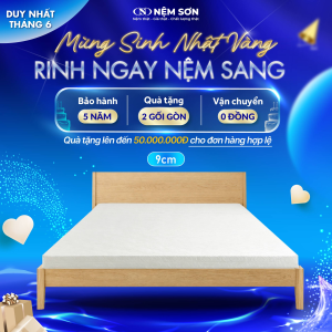 Nệm Xơ Dừa Gấp 3 ORGANIC 9cm - Nệm Sơn - An Toàn Cho Sức Khỏe, Thân Thiện Môi Trường