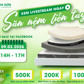 🌿 TỰ NHIÊN TỪ LÕI XƠ DỪA – VỮNG VÀNG CHO LƯNG KHỎE 🌿